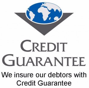 Credit Guarantee Logo